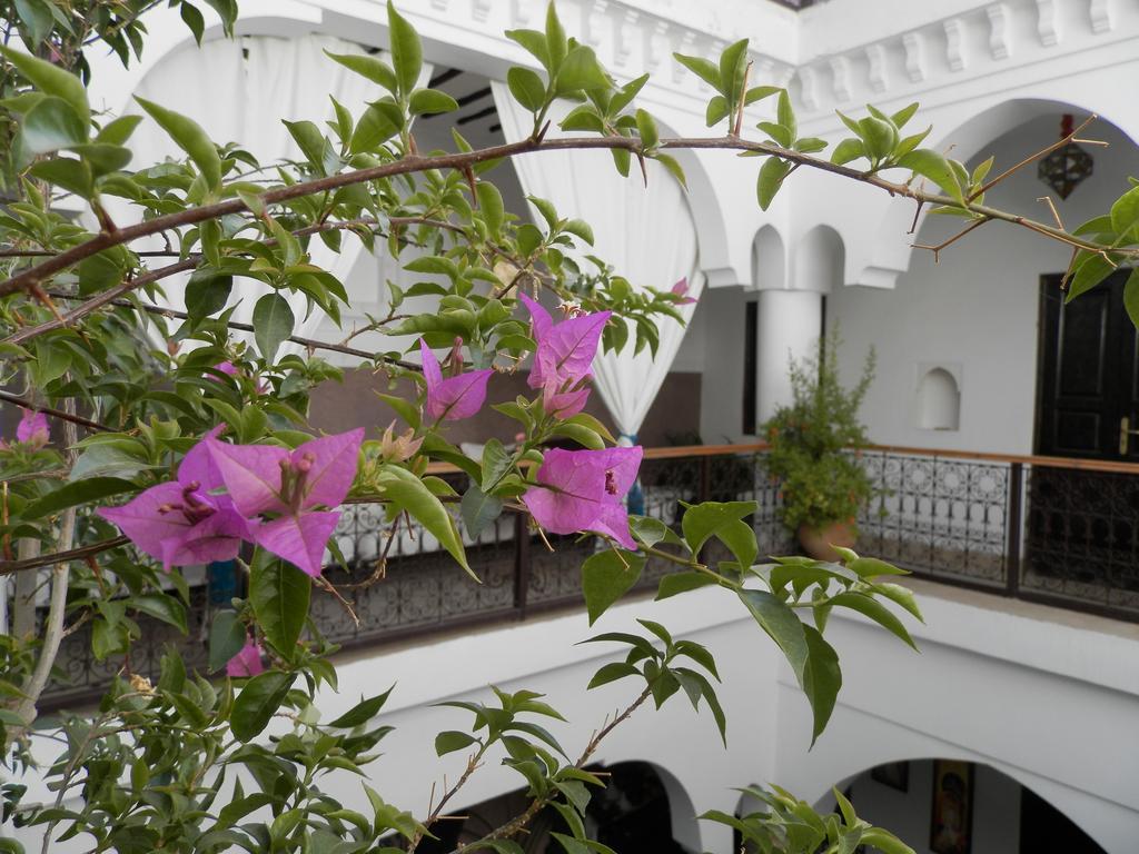 Riad Ailen Marrakesh Exterior photo